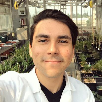 Elias Acosta in greenhouse lab image link to story