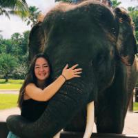 Summer Experiences 2018 article