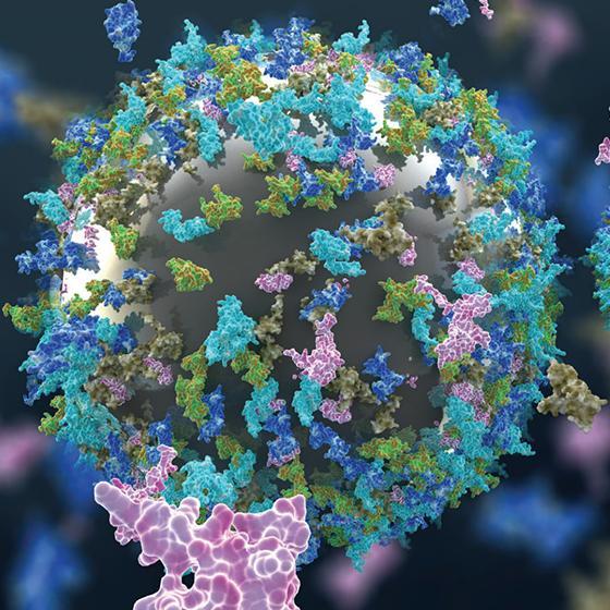 The illustration for the SCU research team’s cover article in Environmental Science Nano depicts nanomaterials interacting with proteins. image link to story