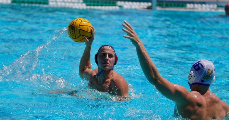 ACE Newsletter January 2019