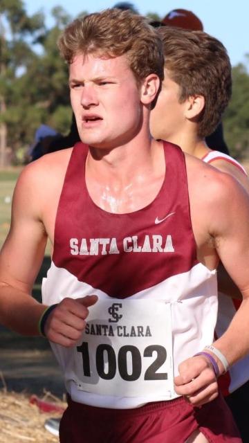 ACE Newsletter January 2019