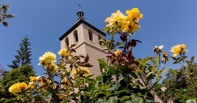 Roses in front of the mission image link to story