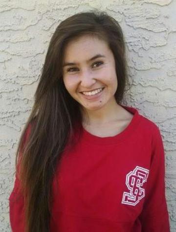 2016-17 Johnson Scholar image link to story