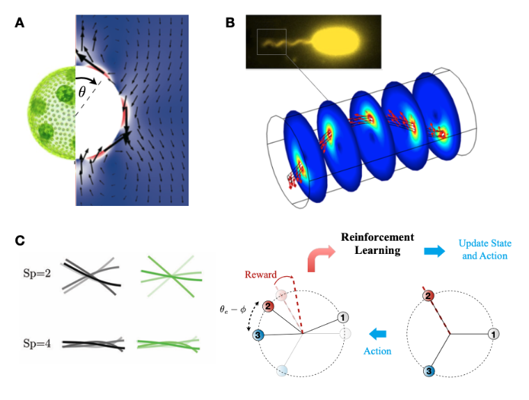 Illustrations of wave research concepts: earth observation, wave patterns, and wave interactions in diagrams.