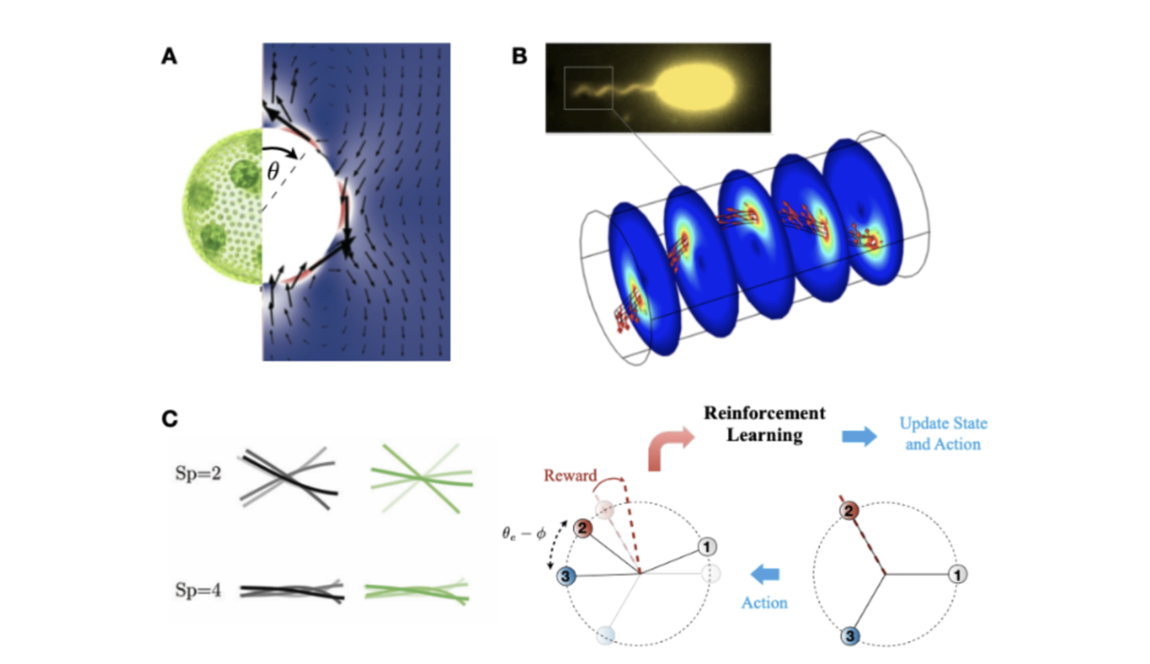 Theoretical and Computational Mechanics 