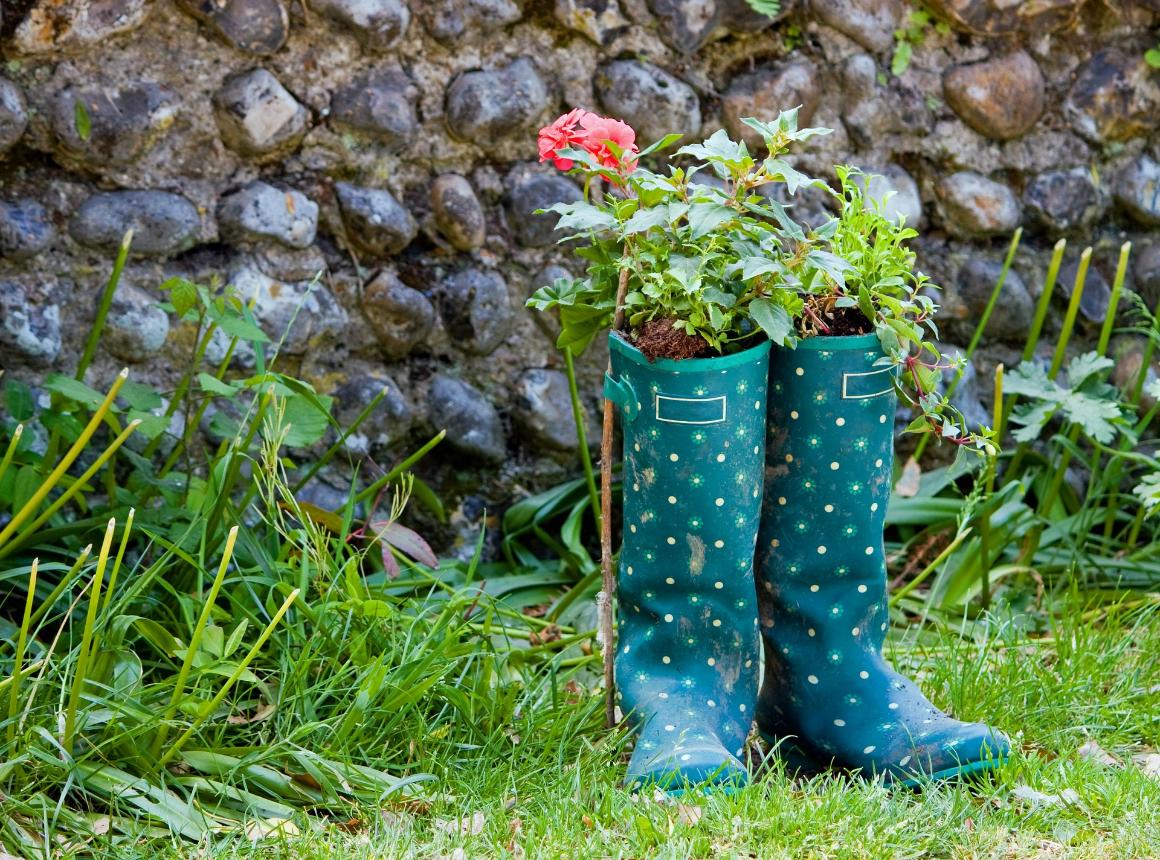 Roses growing out of green rubber rain boots in a backyard lawn 